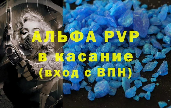 таблы Новозыбков