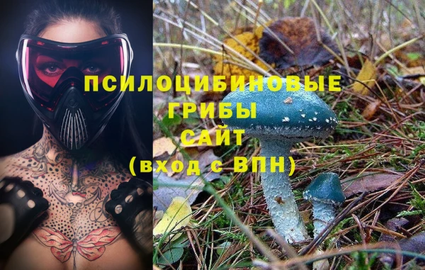 гидропоника Абинск